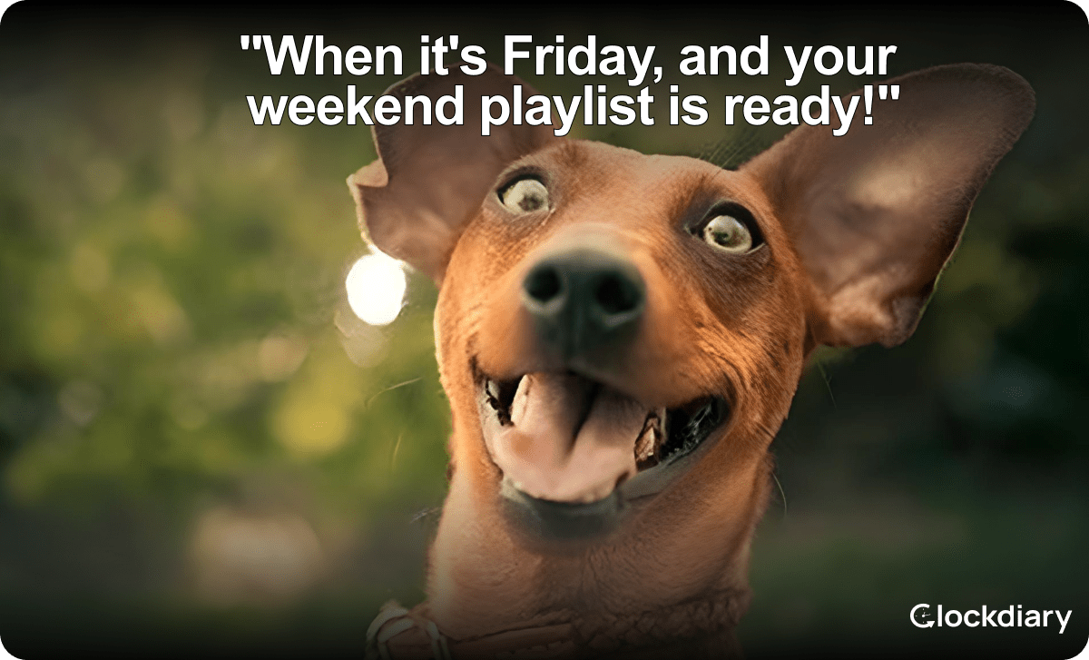 Friday Memes: When it's Friday, and your weekend playlist is ready!