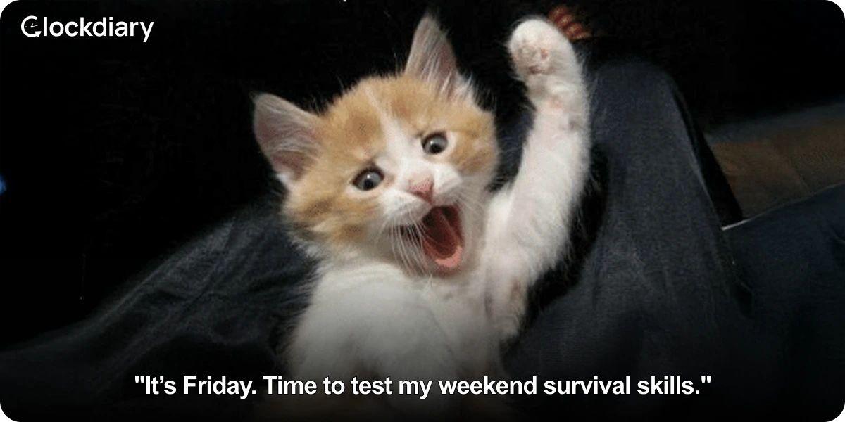 It’s Friday. Time to test my weekend survival skills.