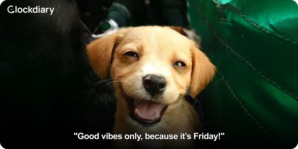 Good vibes only, because it’s Friday!