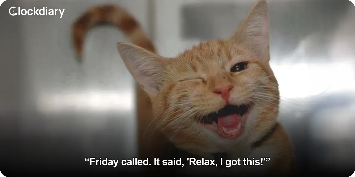 Friday called. It said, 'Relax, I got this!'