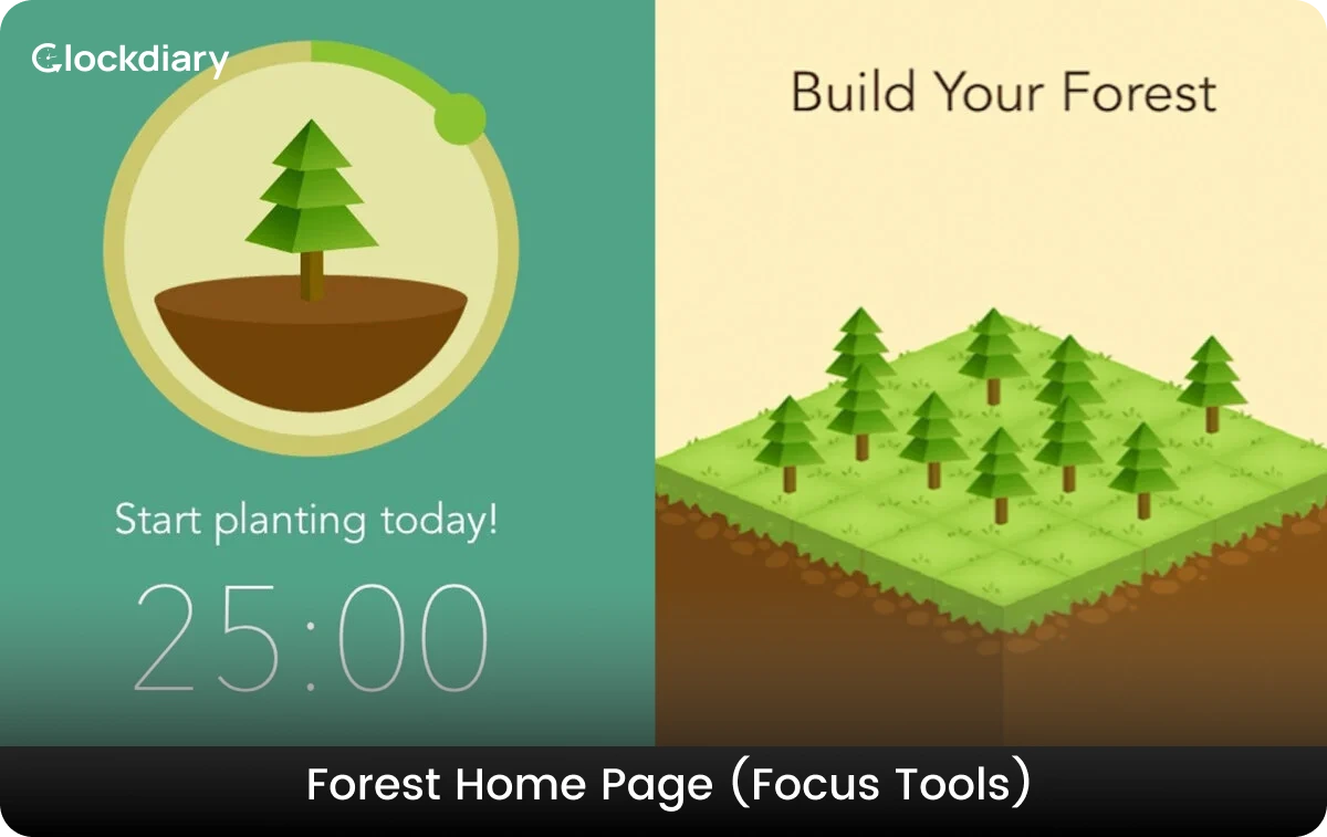 Forest Home Page (Focus Tools)