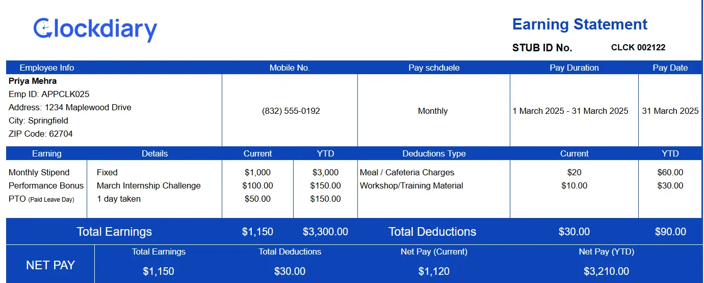 Pay Stub Template for Stipend and Intern-based Roles
